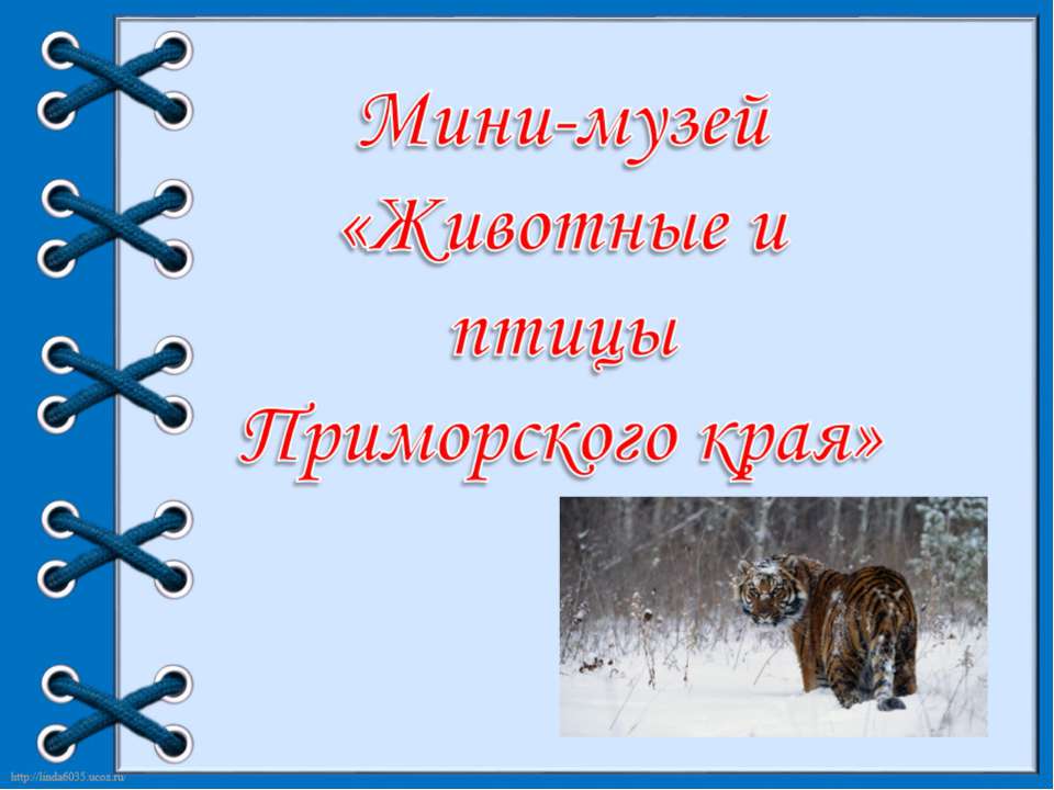 Мини музей "Животные и птицы Приморского края" - Скачать презентации бесплатно | Читать или скачать учебники для школы онлайн бесплатно ☑ Школьные учебники school-textbook.com