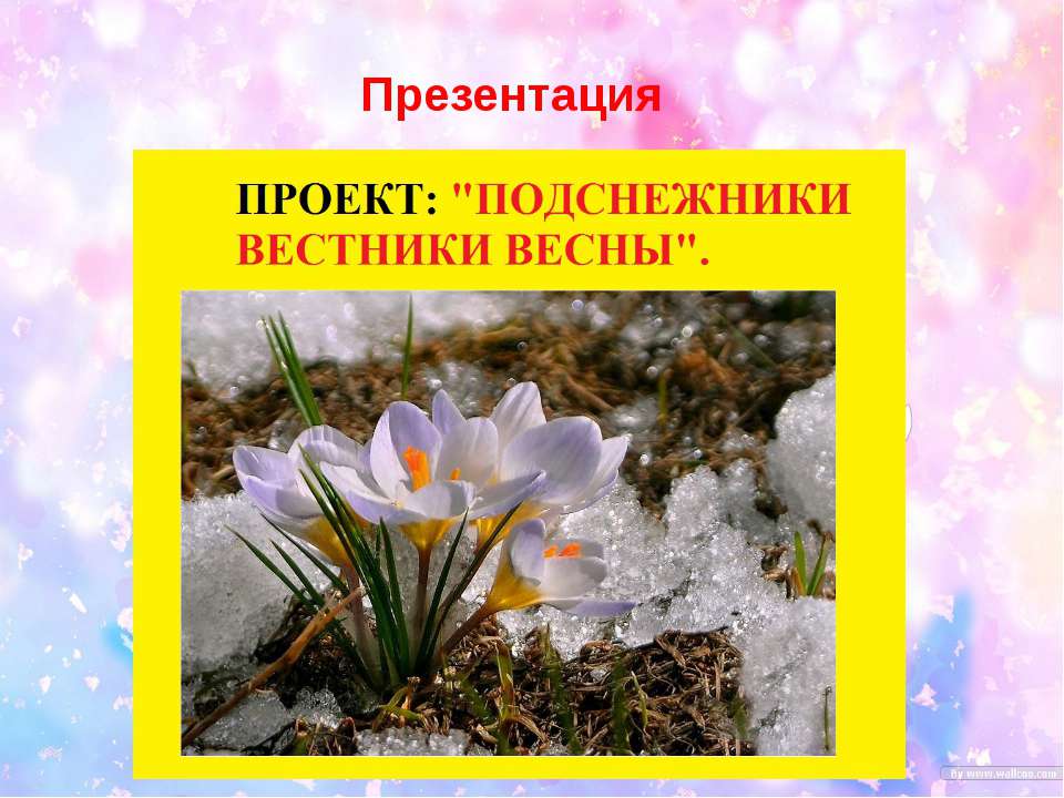 Проект "Подснежники вестники весны"  - Скачать презентации бесплатно | Читать или скачать учебники для школы онлайн бесплатно ☑ Школьные учебники school-textbook.com