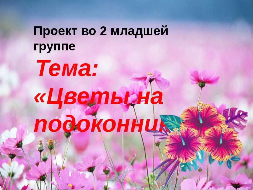 Цветы на подоконнике  - Скачать презентации бесплатно | Читать или скачать учебники для школы онлайн бесплатно ☑ Школьные учебники school-textbook.com