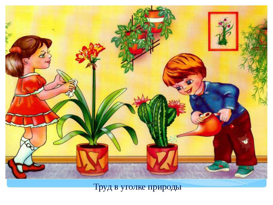 Труд в уголке прирды - Скачать презентации бесплатно ☑ Презентации по предметам на gdz-books.ru