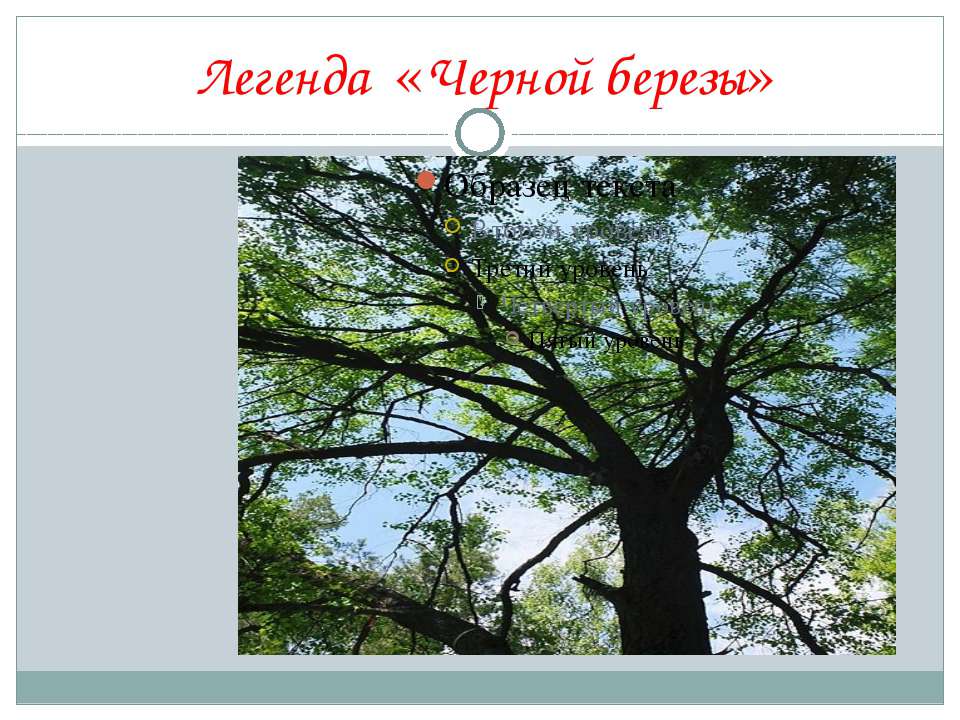 Чёрная берёза  - Скачать презентации бесплатно | Читать или скачать учебники для школы онлайн бесплатно ☑ Школьные учебники school-textbook.com