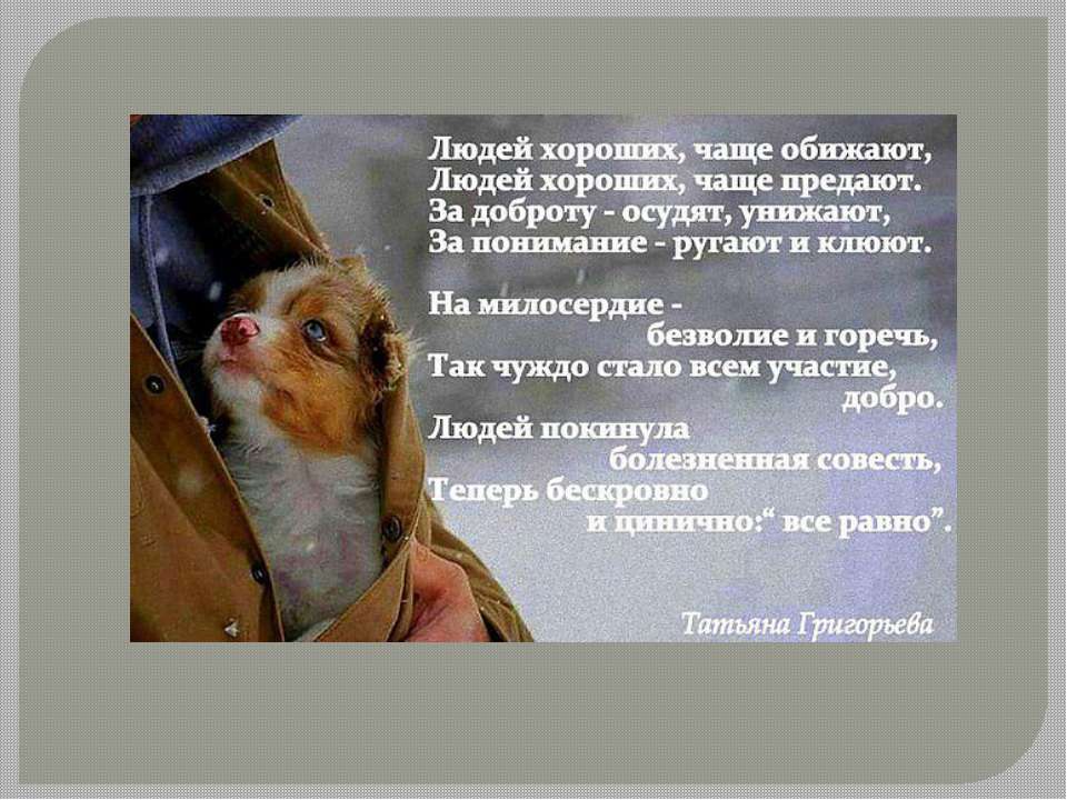 Гуманное отношение к животным  - Скачать презентации бесплатно | Читать или скачать учебники для школы онлайн бесплатно ☑ Школьные учебники school-textbook.com
