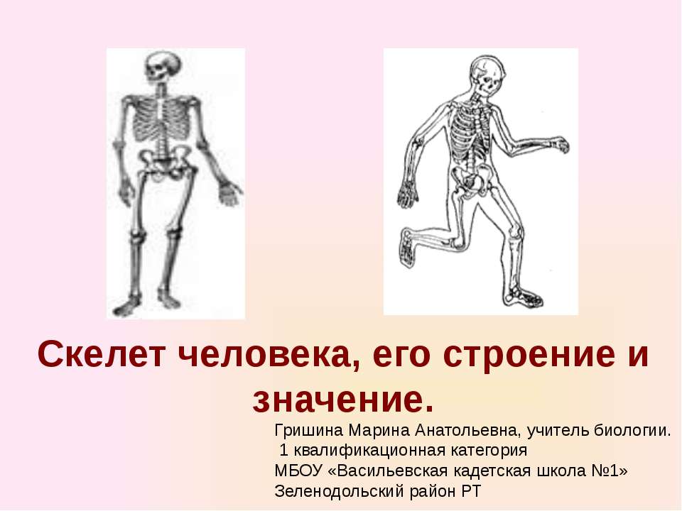 Скелет челоаека - Скачать презентации бесплатно ☑ Презентации по предметам на gdz-books.ru
