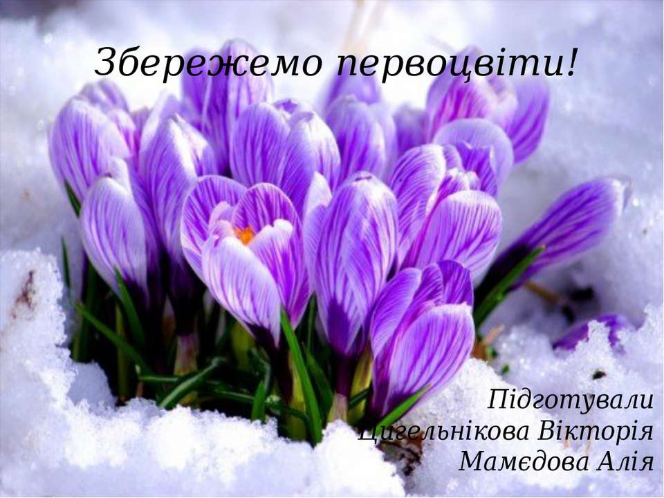 Первоцвіти - Скачать презентации бесплатно ☑ Презентации по предметам на gdz-books.ru