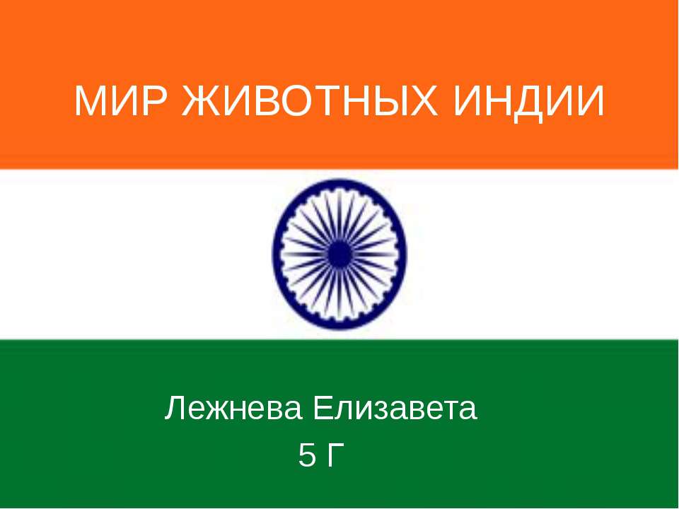 Мир животных Индии  - Скачать презентации бесплатно | Читать или скачать учебники для школы онлайн бесплатно ☑ Школьные учебники school-textbook.com