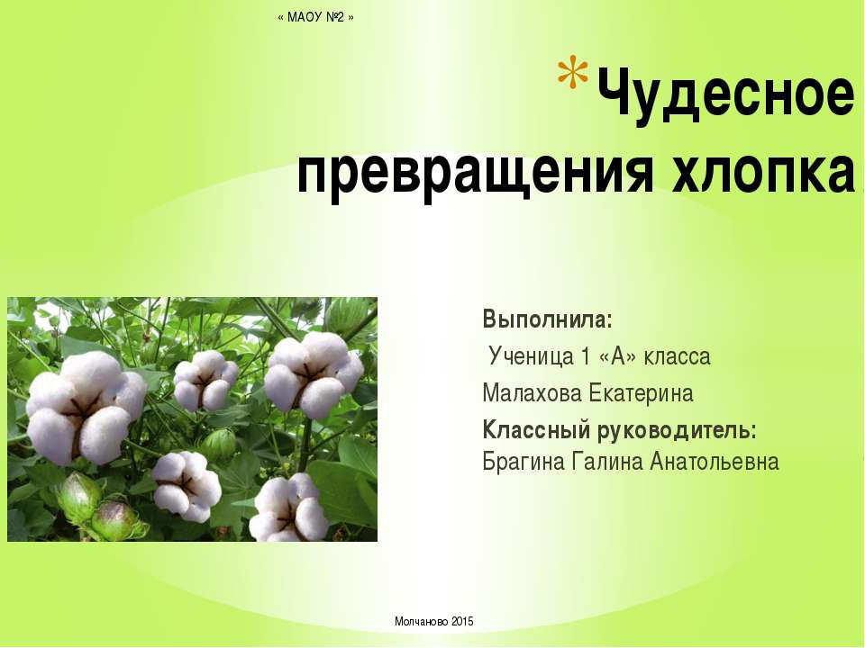 Чудесные превращения хлопка - Скачать презентации бесплатно ☑ Презентации по предметам на gdz-books.ru
