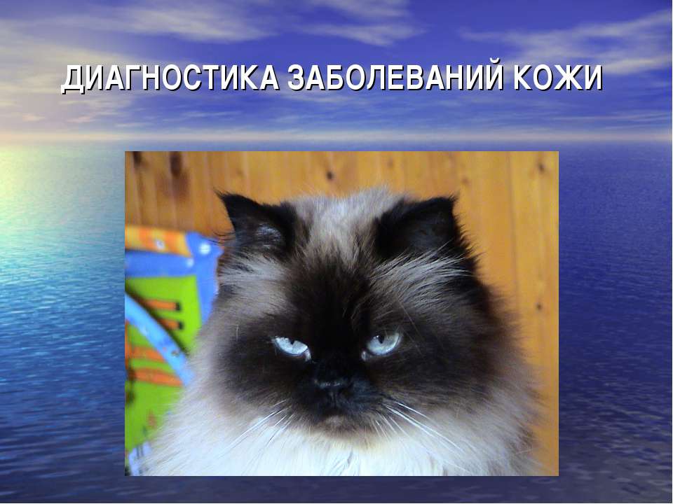 Кожные заболевания  - Скачать презентации бесплатно | Читать или скачать учебники для школы онлайн бесплатно ☑ Школьные учебники school-textbook.com