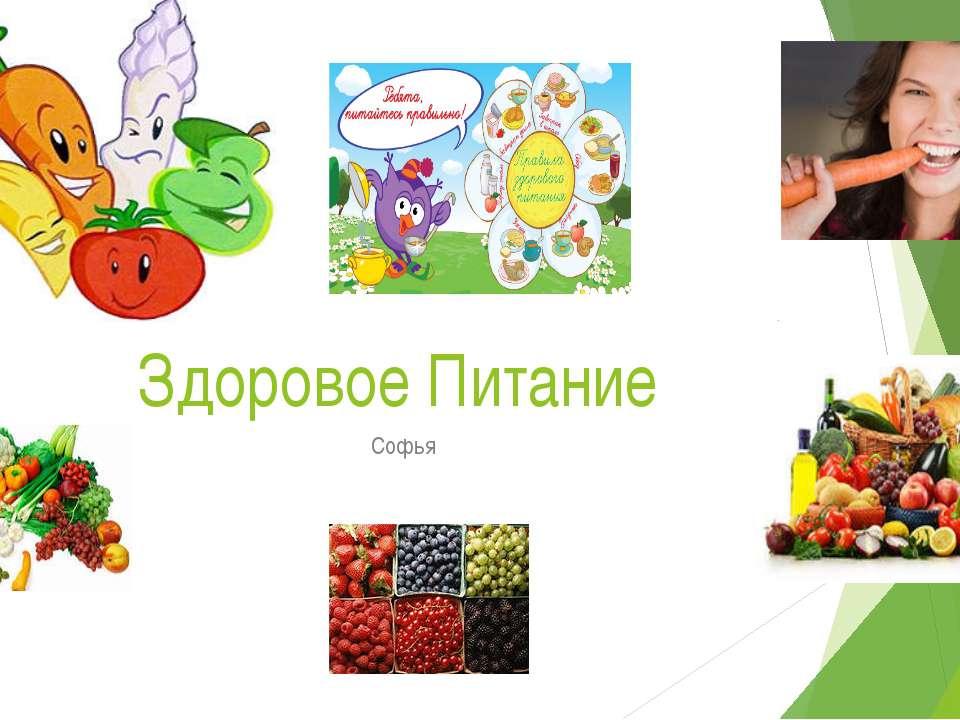 Овощи  - Скачать презентации бесплатно | Читать или скачать учебники для школы онлайн бесплатно ☑ Школьные учебники school-textbook.com