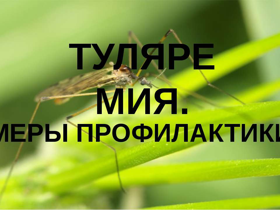 Туляремия - Скачать презентации бесплатно ☑ Презентации по предметам на gdz-books.ru