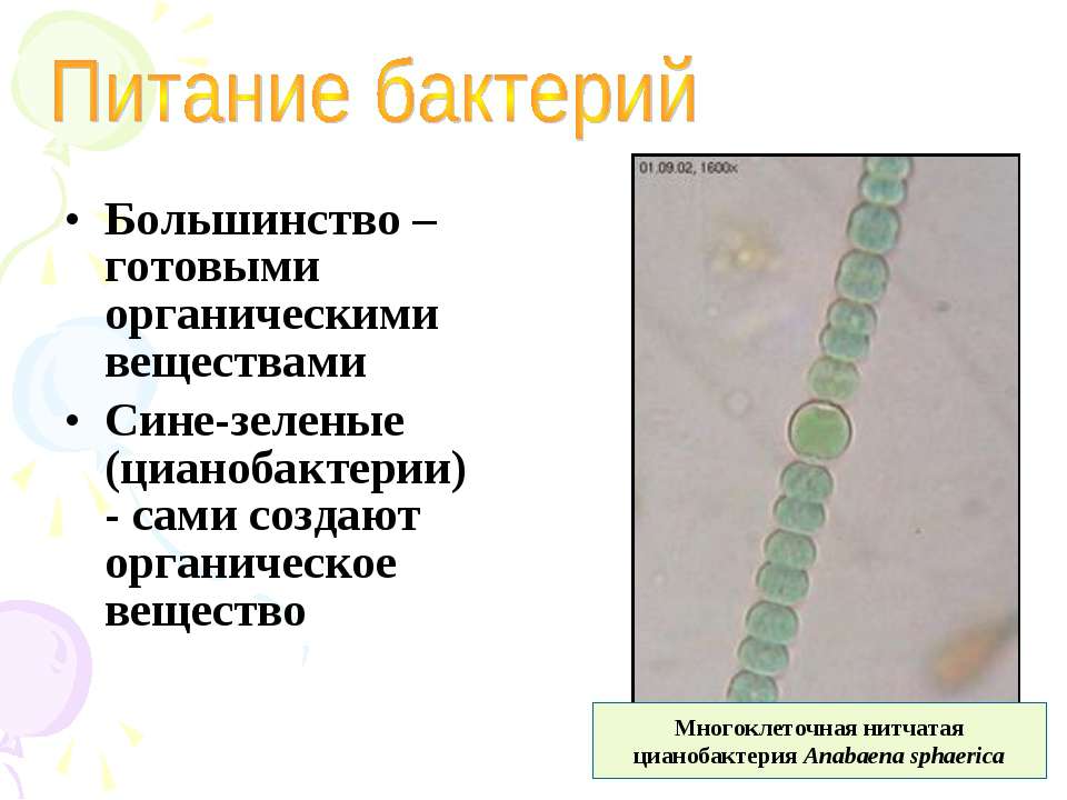491993 - Скачать презентации бесплатно ☑ Презентации по предметам на gdz-books.ru