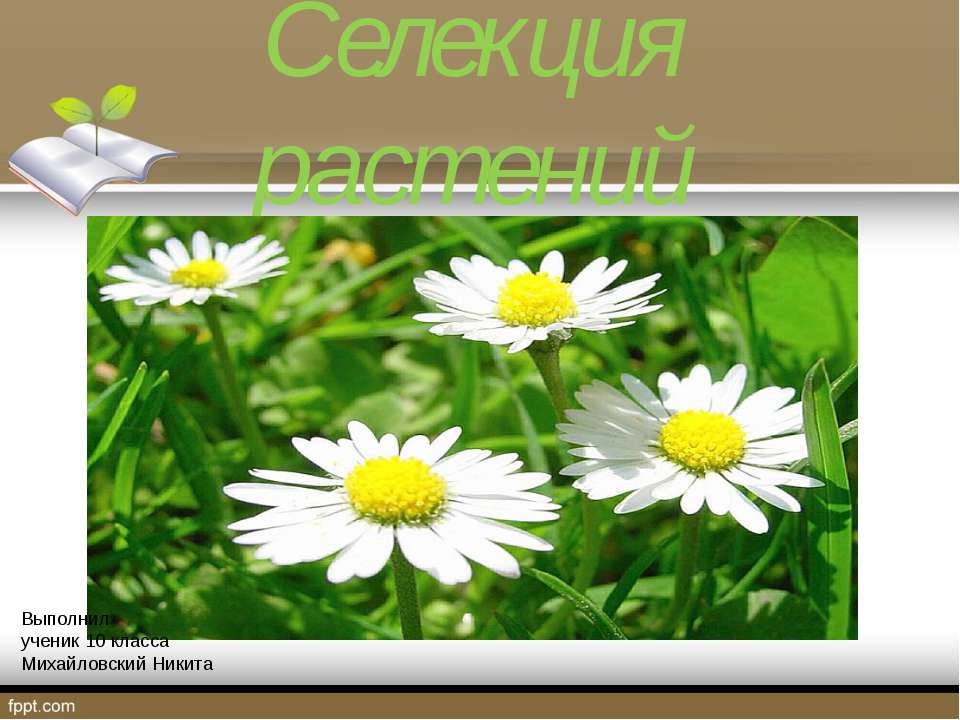 селекция растений  - Скачать презентации бесплатно | Читать или скачать учебники для школы онлайн бесплатно ☑ Школьные учебники school-textbook.com
