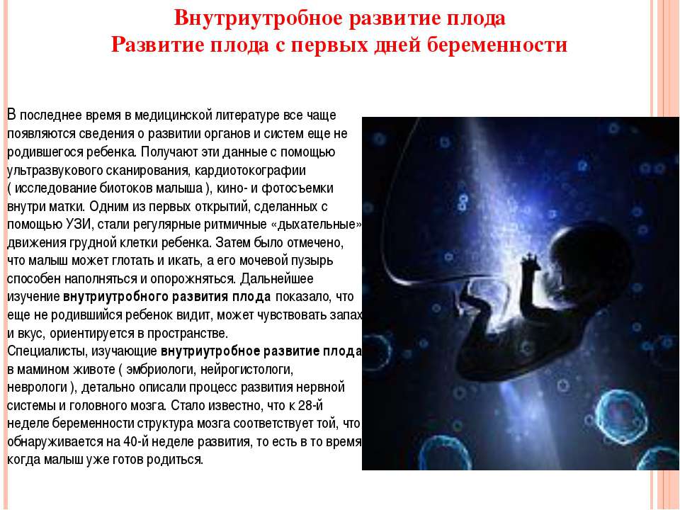 внутриутробное развитие плода  - Скачать презентации бесплатно | Читать или скачать учебники для школы онлайн бесплатно ☑ Школьные учебники school-textbook.com