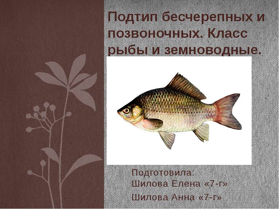 Подросток и его права  - Скачать презентации бесплатно | Читать или скачать учебники для школы онлайн бесплатно ☑ Школьные учебники school-textbook.com