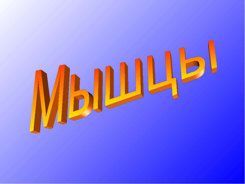 Мышцы  - Скачать презентации бесплатно | Читать или скачать учебники для школы онлайн бесплатно ☑ Школьные учебники school-textbook.com