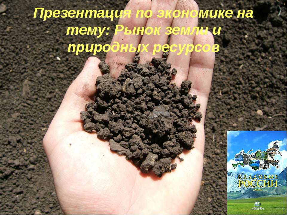 ринок інформації - Скачать презентации бесплатно ☑ Презентации по предметам на gdz-books.ru
