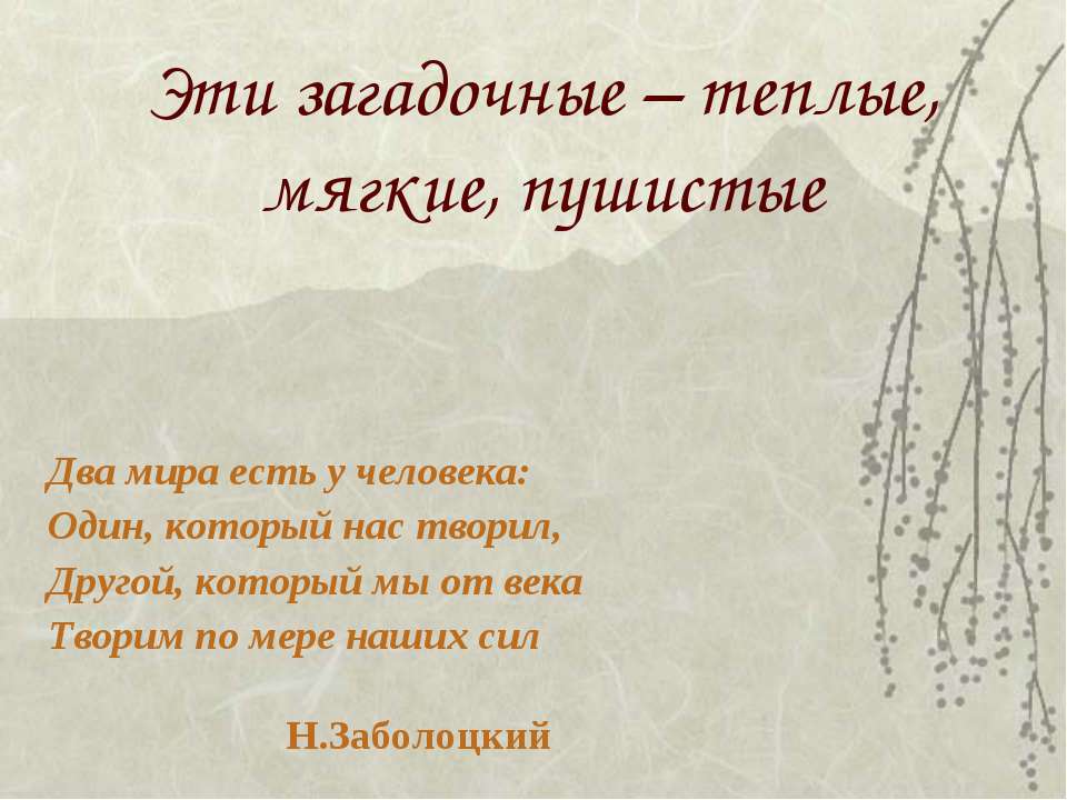 Эти загадочные – теплые, мягкие, пушистые  - Скачать презентации бесплатно | Читать или скачать учебники для школы онлайн бесплатно ☑ Школьные учебники school-textbook.com