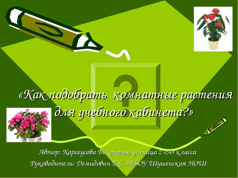Как подобрать комнатные растения для учебного кабинета? - Скачать презентации бесплатно ☑ Презентации по предметам на gdz-books.ru
