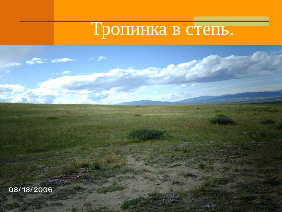 Тропинка в степь  - Скачать презентации бесплатно | Читать или скачать учебники для школы онлайн бесплатно ☑ Школьные учебники school-textbook.com