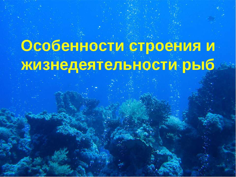 Особенности строения и жизнедеятельности рыб  - Скачать презентации бесплатно | Читать или скачать учебники для школы онлайн бесплатно ☑ Школьные учебники school-textbook.com