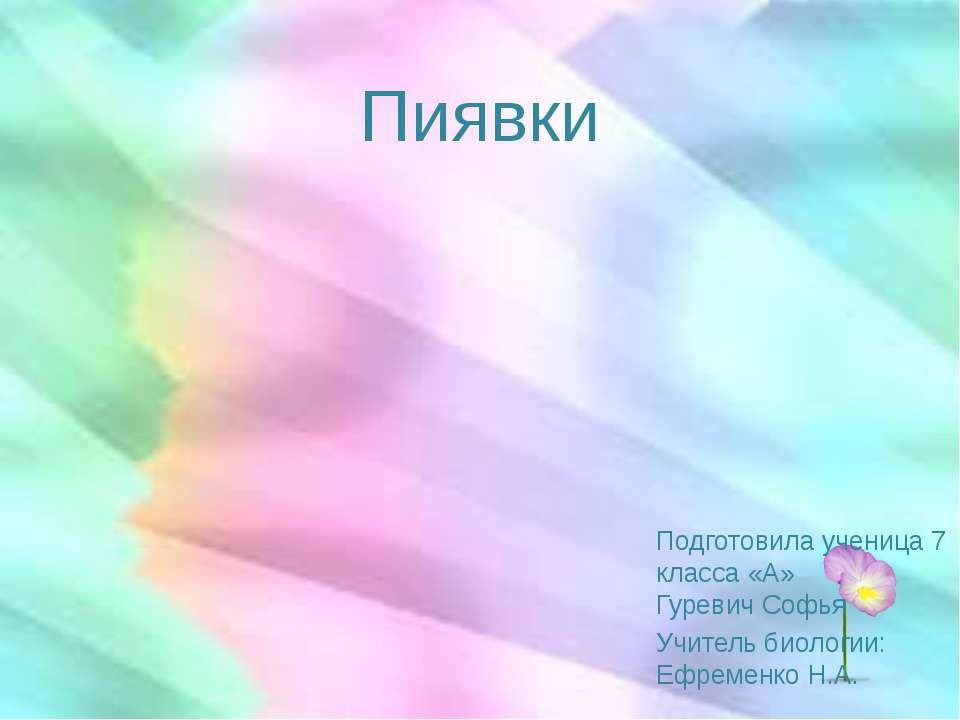 Пиявки - Скачать презентации бесплатно ☑ Презентации по предметам на gdz-books.ru