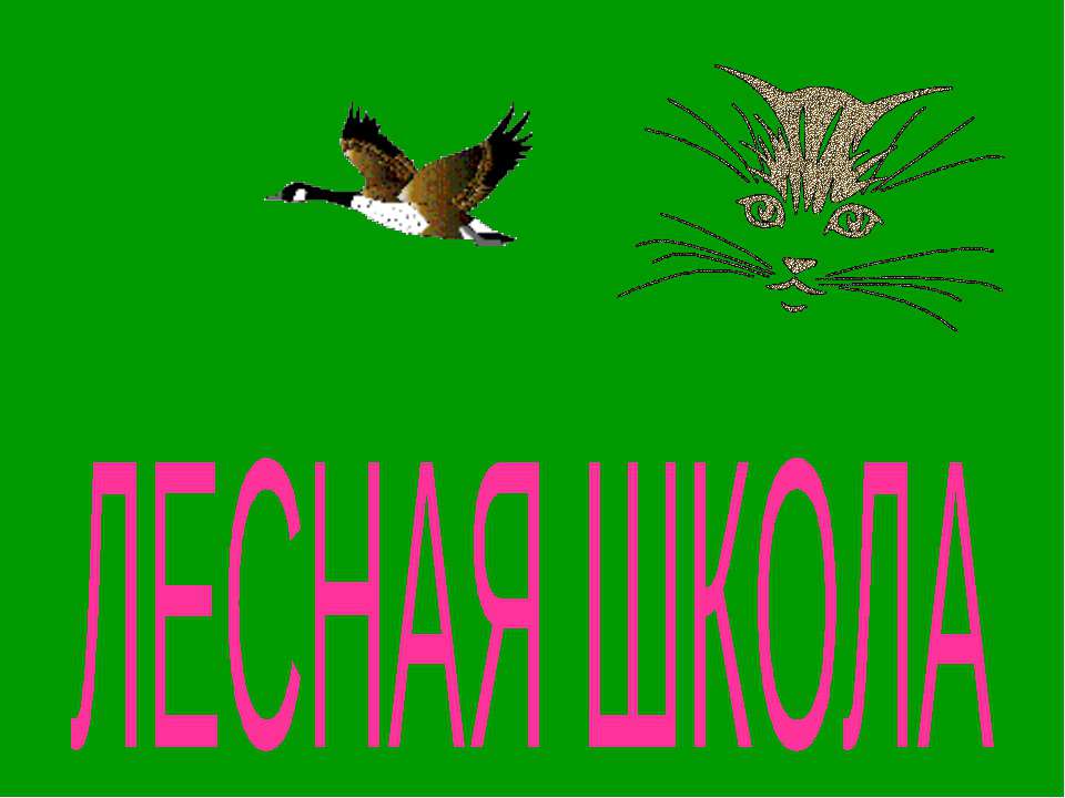 Лесная школа  - Скачать презентации бесплатно | Читать или скачать учебники для школы онлайн бесплатно ☑ Школьные учебники school-textbook.com