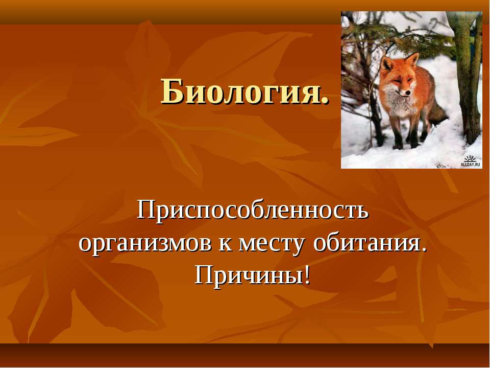 Приспособленность организмов к месту обитания. Причины  - Скачать презентации бесплатно | Читать или скачать учебники для школы онлайн бесплатно ☑ Школьные учебники school-textbook.com