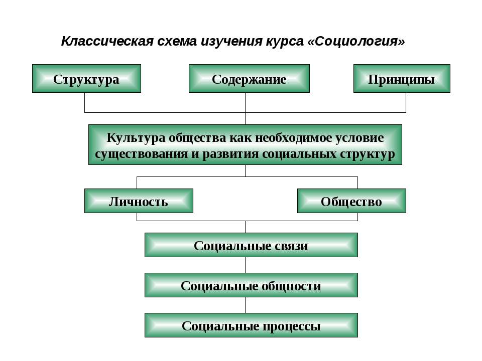 Классическая схема изучения курса «Социология»  - Скачать презентации бесплатно | Читать или скачать учебники для школы онлайн бесплатно ☑ Школьные учебники school-textbook.com