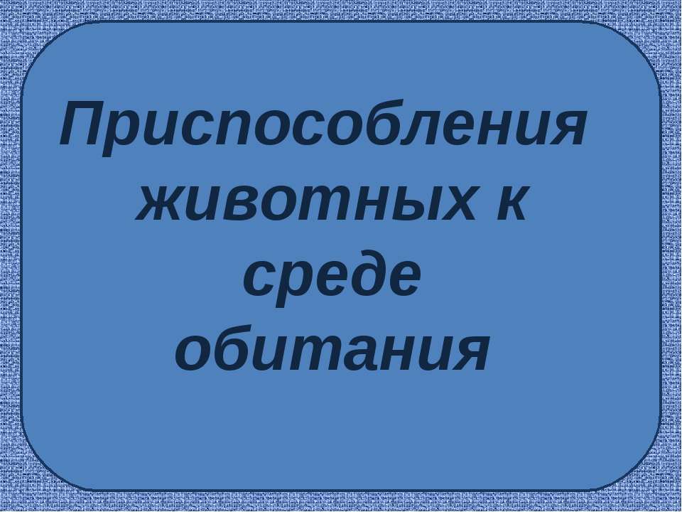 Приспособления животных к среде обитания - Скачать презентации бесплатно ☑ Презентации по предметам на gdz-books.ru