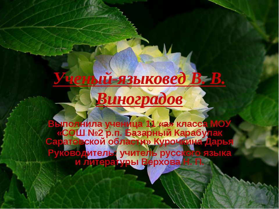 Ученый-языковед В. В. Виноградов  - Скачать презентации бесплатно | Читать или скачать учебники для школы онлайн бесплатно ☑ Школьные учебники school-textbook.com