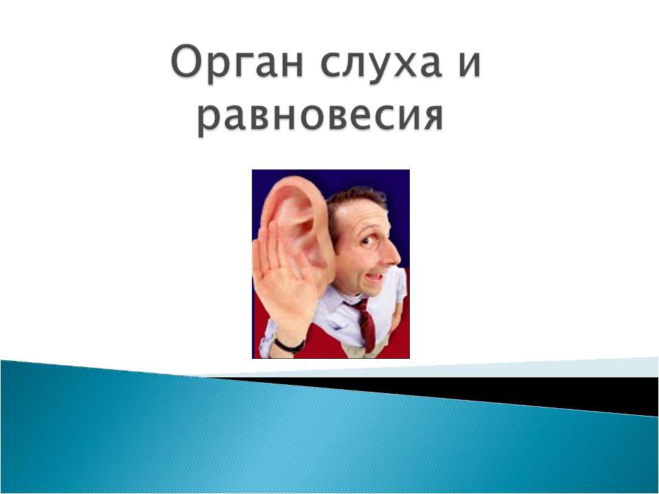 Орган слуха и равновесия  - Скачать презентации бесплатно | Читать или скачать учебники для школы онлайн бесплатно ☑ Школьные учебники school-textbook.com