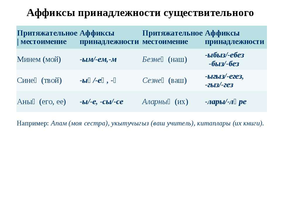 Аффиксы принадлежности существительного  - Скачать презентации бесплатно | Читать или скачать учебники для школы онлайн бесплатно ☑ Школьные учебники school-textbook.com