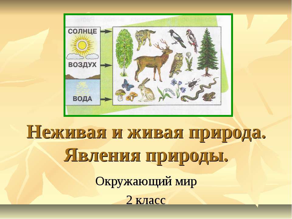 Неживая и живая природа. Явления природы  - Скачать презентации бесплатно | Читать или скачать учебники для школы онлайн бесплатно ☑ Школьные учебники school-textbook.com