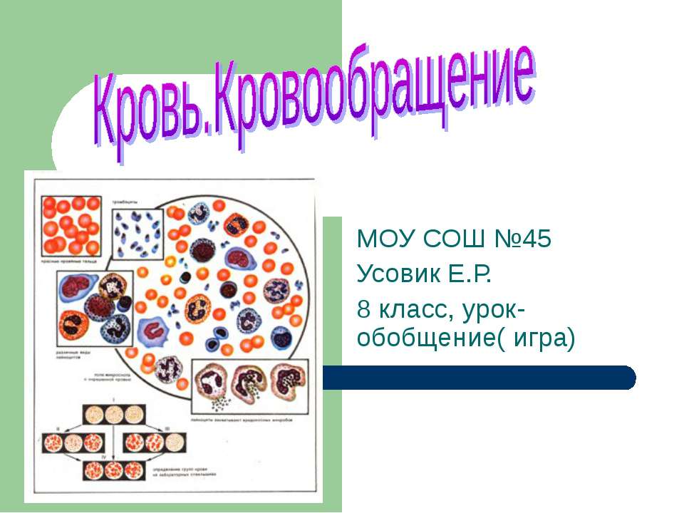 Кровь. Кровообращение 8 класс  - Скачать презентации бесплатно | Читать или скачать учебники для школы онлайн бесплатно ☑ Школьные учебники school-textbook.com
