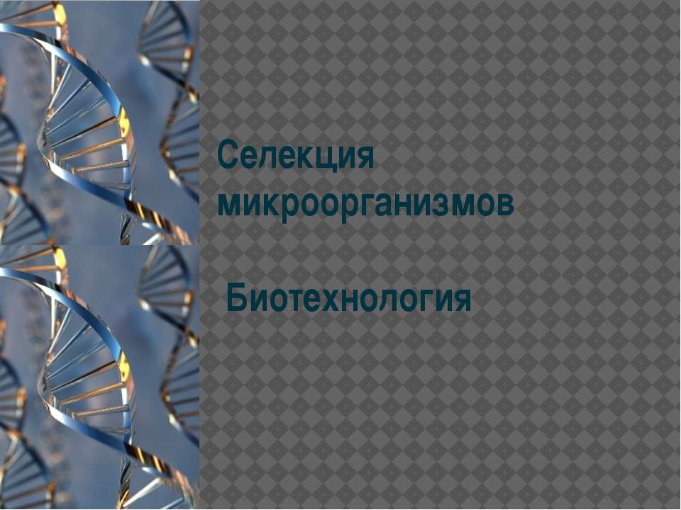 Селекция микроорганизмов. Биотехнология - Скачать презентации бесплатно ☑ Презентации по предметам на gdz-books.ru