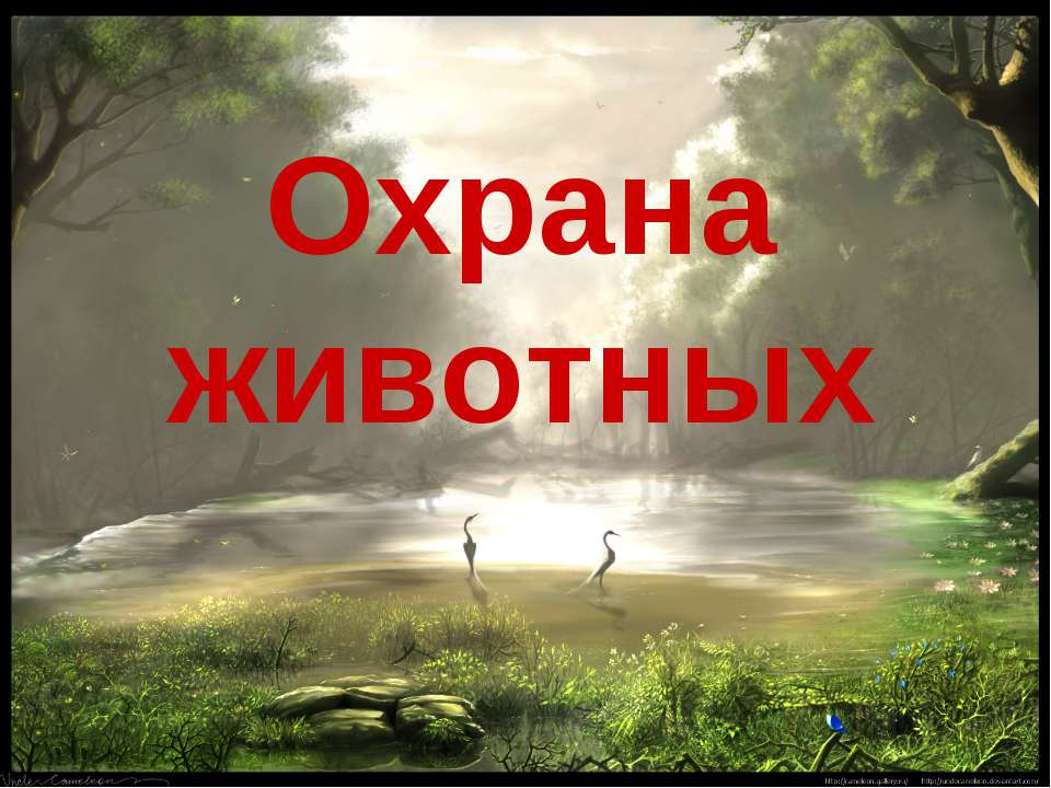 Охрана животных  - Скачать презентации бесплатно | Читать или скачать учебники для школы онлайн бесплатно ☑ Школьные учебники school-textbook.com
