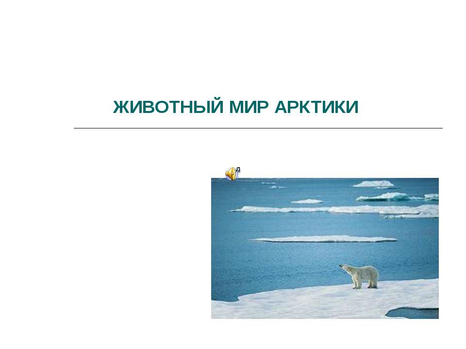 Животный мир Арктики - Скачать презентации бесплатно ☑ Презентации по предметам на gdz-books.ru