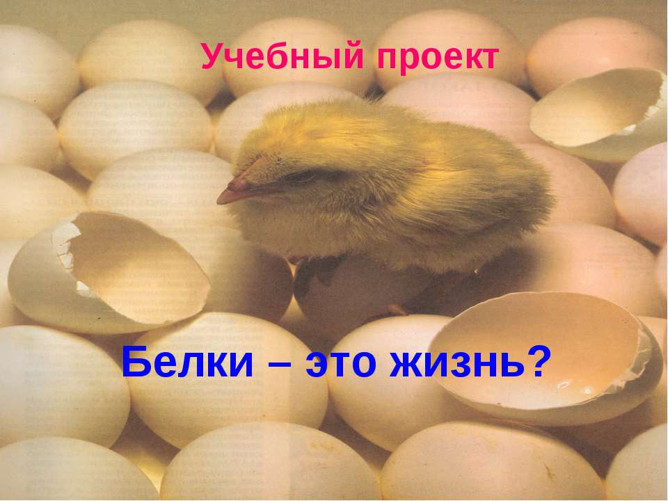 Белки – это жизнь?  - Скачать презентации бесплатно | Читать или скачать учебники для школы онлайн бесплатно ☑ Школьные учебники school-textbook.com