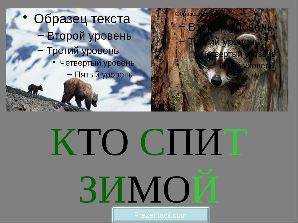 Кто спит зимой  - Скачать презентации бесплатно | Читать или скачать учебники для школы онлайн бесплатно ☑ Школьные учебники school-textbook.com