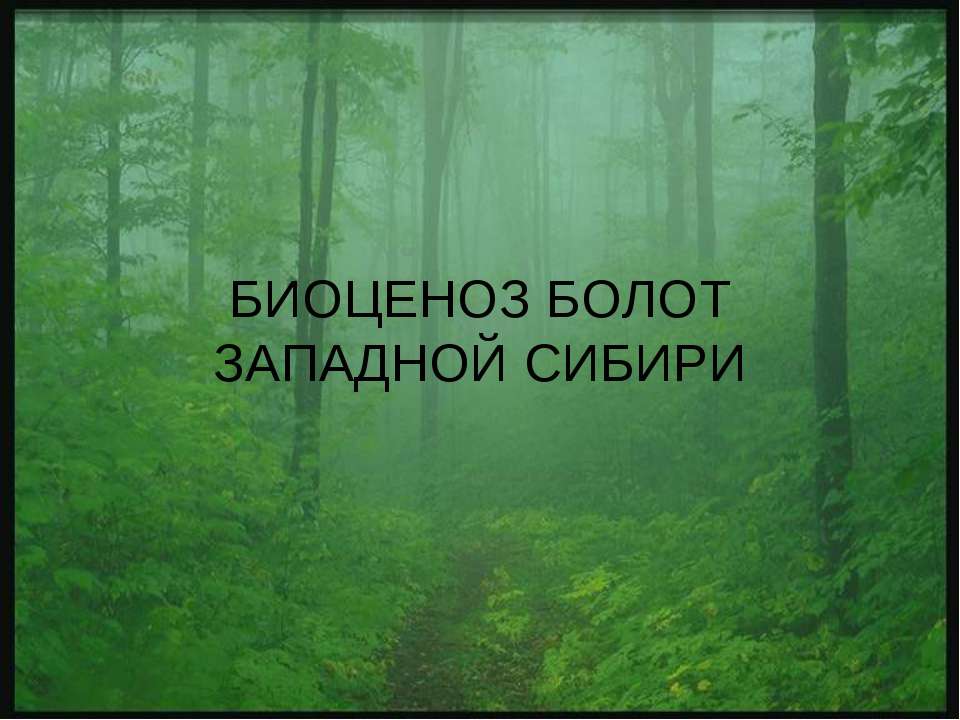 Биоценоз болот западной Сибири  - Скачать презентации бесплатно | Читать или скачать учебники для школы онлайн бесплатно ☑ Школьные учебники school-textbook.com