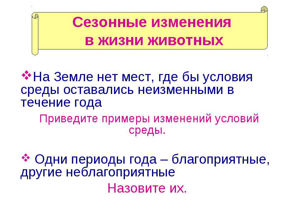Сезонные изменения в жизни животных  - Скачать презентации бесплатно | Читать или скачать учебники для школы онлайн бесплатно ☑ Школьные учебники school-textbook.com
