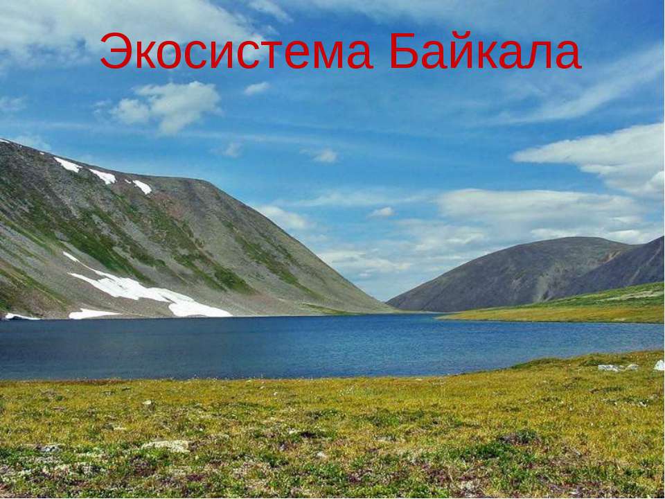 Экосистема Байкала  - Скачать презентации бесплатно | Читать или скачать учебники для школы онлайн бесплатно ☑ Школьные учебники school-textbook.com
