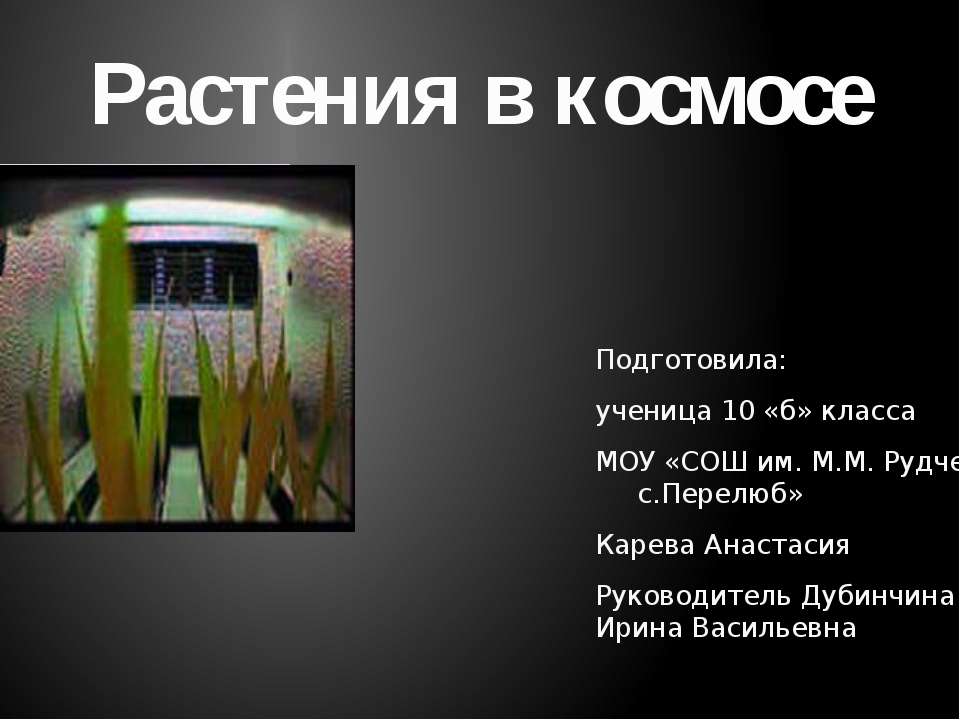 Растения в космосе  - Скачать презентации бесплатно | Читать или скачать учебники для школы онлайн бесплатно ☑ Школьные учебники school-textbook.com