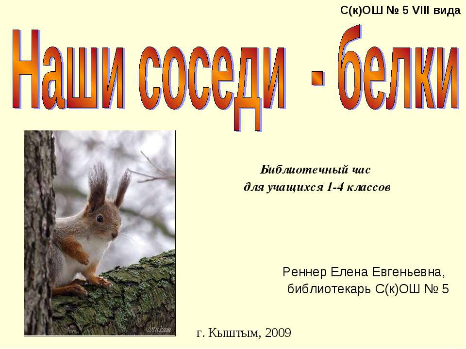 Наши соседи - белки  - Скачать презентации бесплатно | Читать или скачать учебники для школы онлайн бесплатно ☑ Школьные учебники school-textbook.com