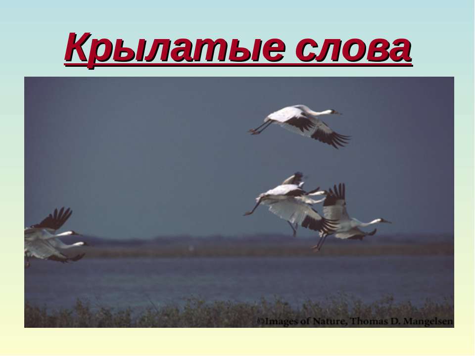 Крылатые слова  - Скачать презентации бесплатно | Читать или скачать учебники для школы онлайн бесплатно ☑ Школьные учебники school-textbook.com