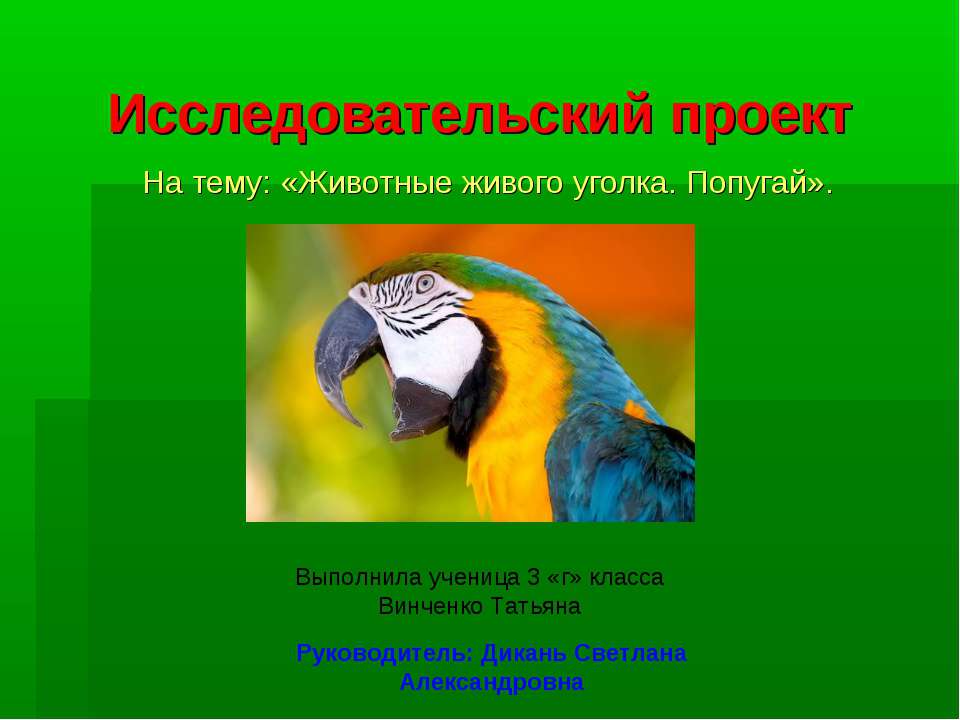 Животные живого уголка. Попугай  - Скачать презентации бесплатно | Читать или скачать учебники для школы онлайн бесплатно ☑ Школьные учебники school-textbook.com