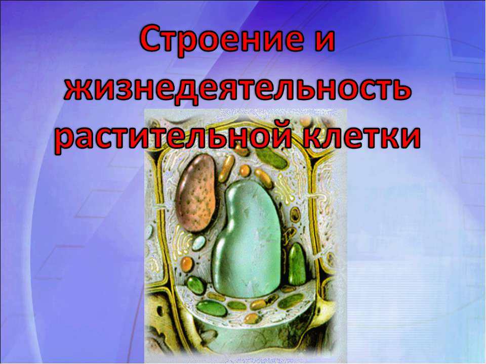 Строение и жизнедеятельность растительной клетки  - Скачать презентации бесплатно | Читать или скачать учебники для школы онлайн бесплатно ☑ Школьные учебники school-textbook.com