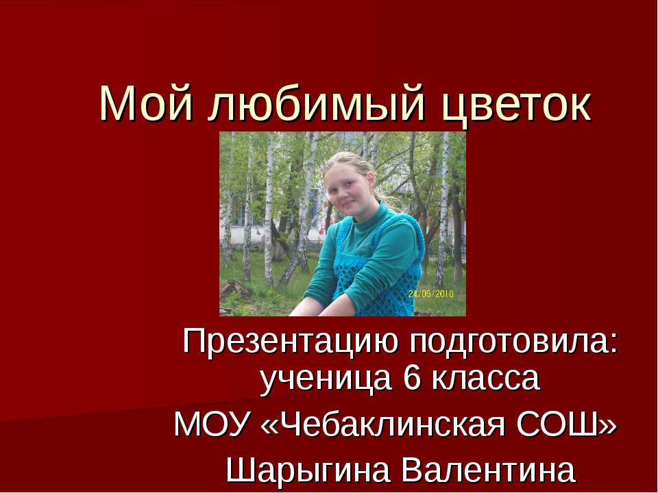Традесканция - Скачать презентации бесплатно ☑ Презентации по предметам на gdz-books.ru