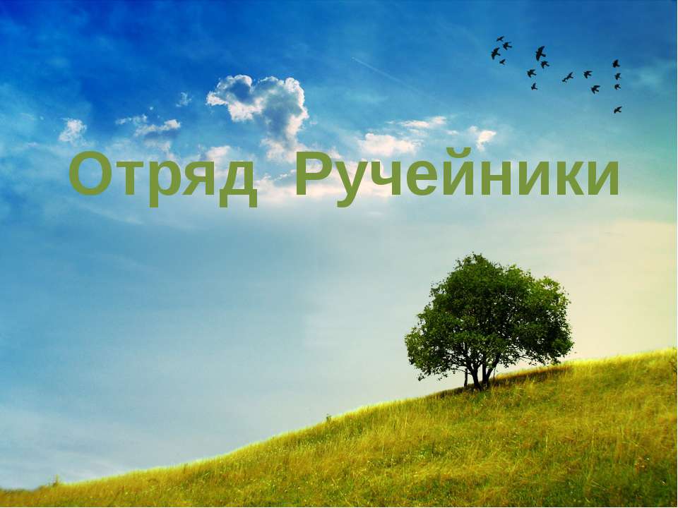 Отряд Ручейники - Скачать презентации бесплатно ☑ Презентации по предметам на gdz-books.ru