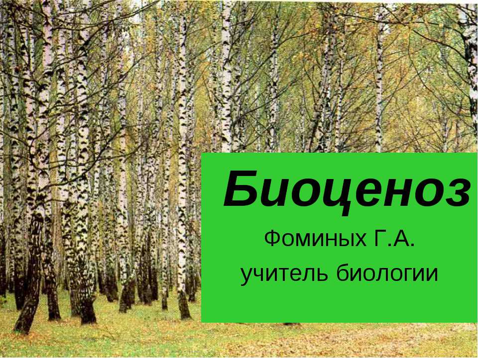 Биоценоз - Скачать презентации бесплатно ☑ Презентации по предметам на gdz-books.ru