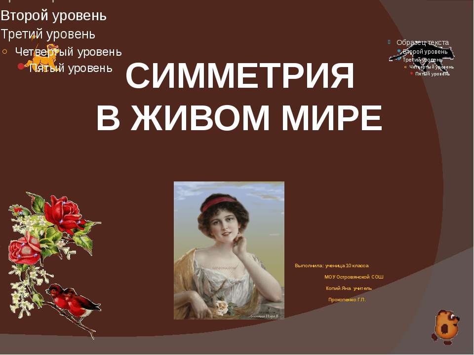 Симметрия в живом мире  - Скачать презентации бесплатно | Читать или скачать учебники для школы онлайн бесплатно ☑ Школьные учебники school-textbook.com